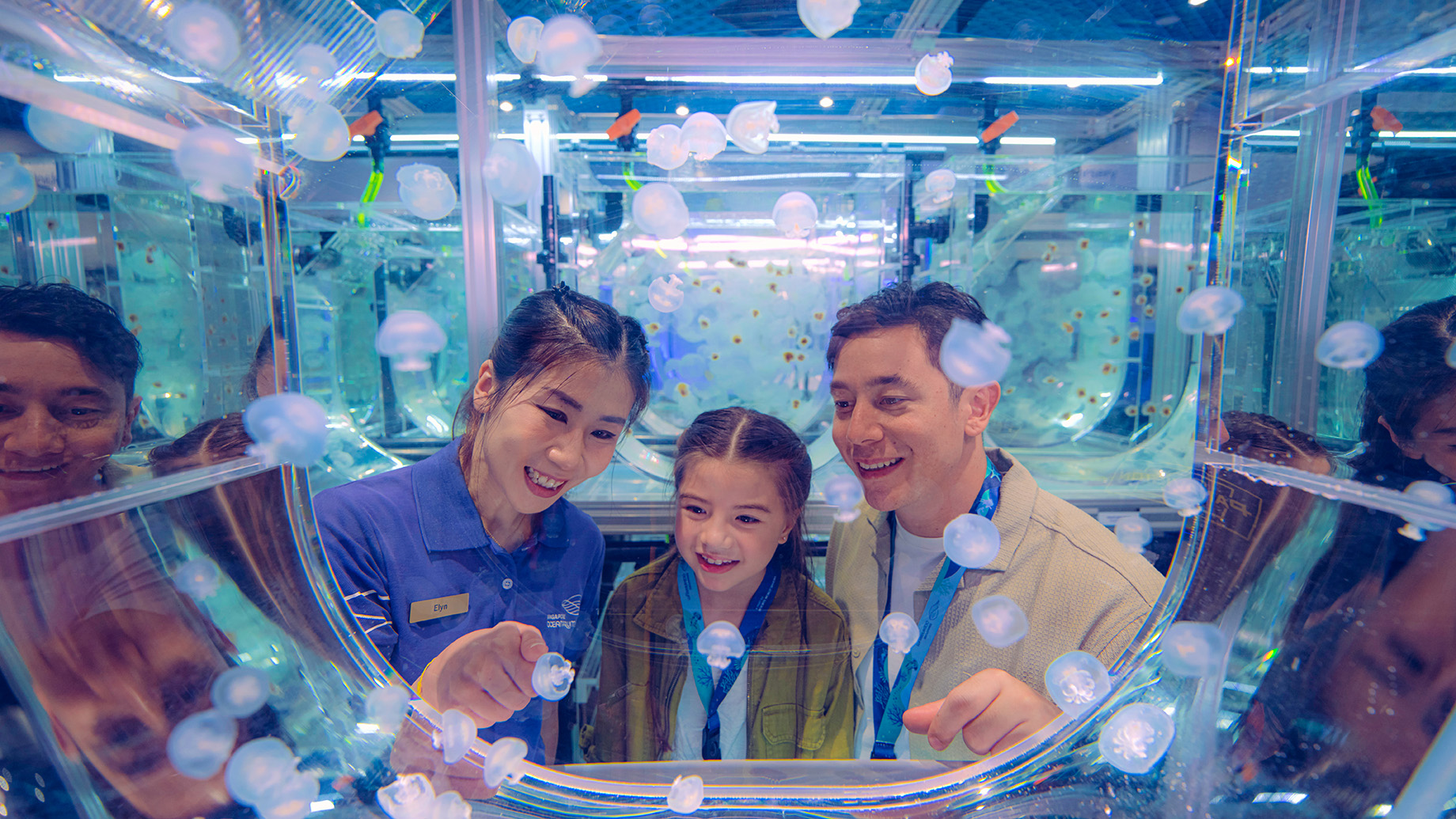 ANIMAL SPOTLIGHT: SEA JELLIES