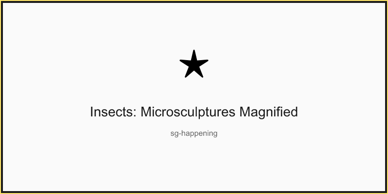Insects: Microsculptures Magnified