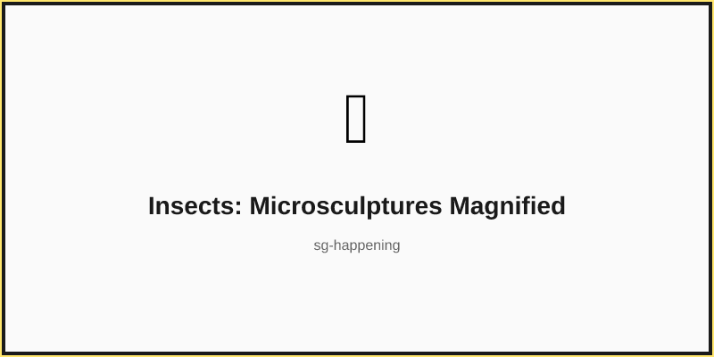 Insects: Microsculptures Magnified
