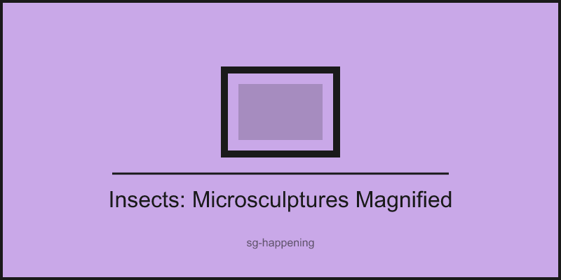 Insects: Microsculptures Magnified