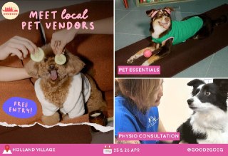 Not Another Pet Fair at One Holland Village