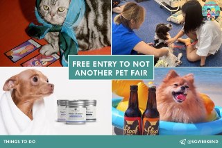 Not Another Pet Fair — Free Entry