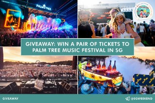 Palm Tree Music Festival 2026