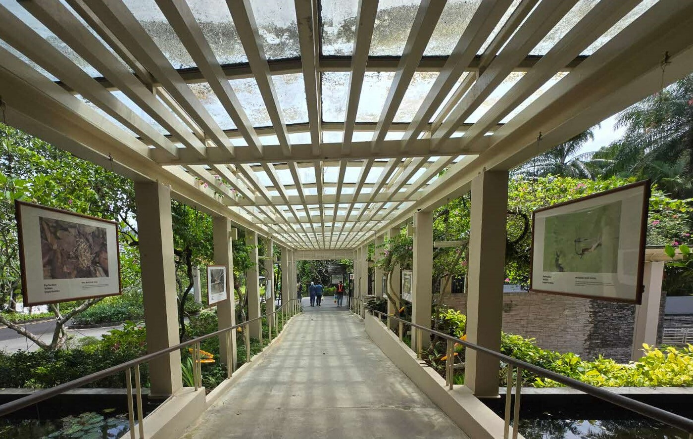 Perfection Within Imperfection