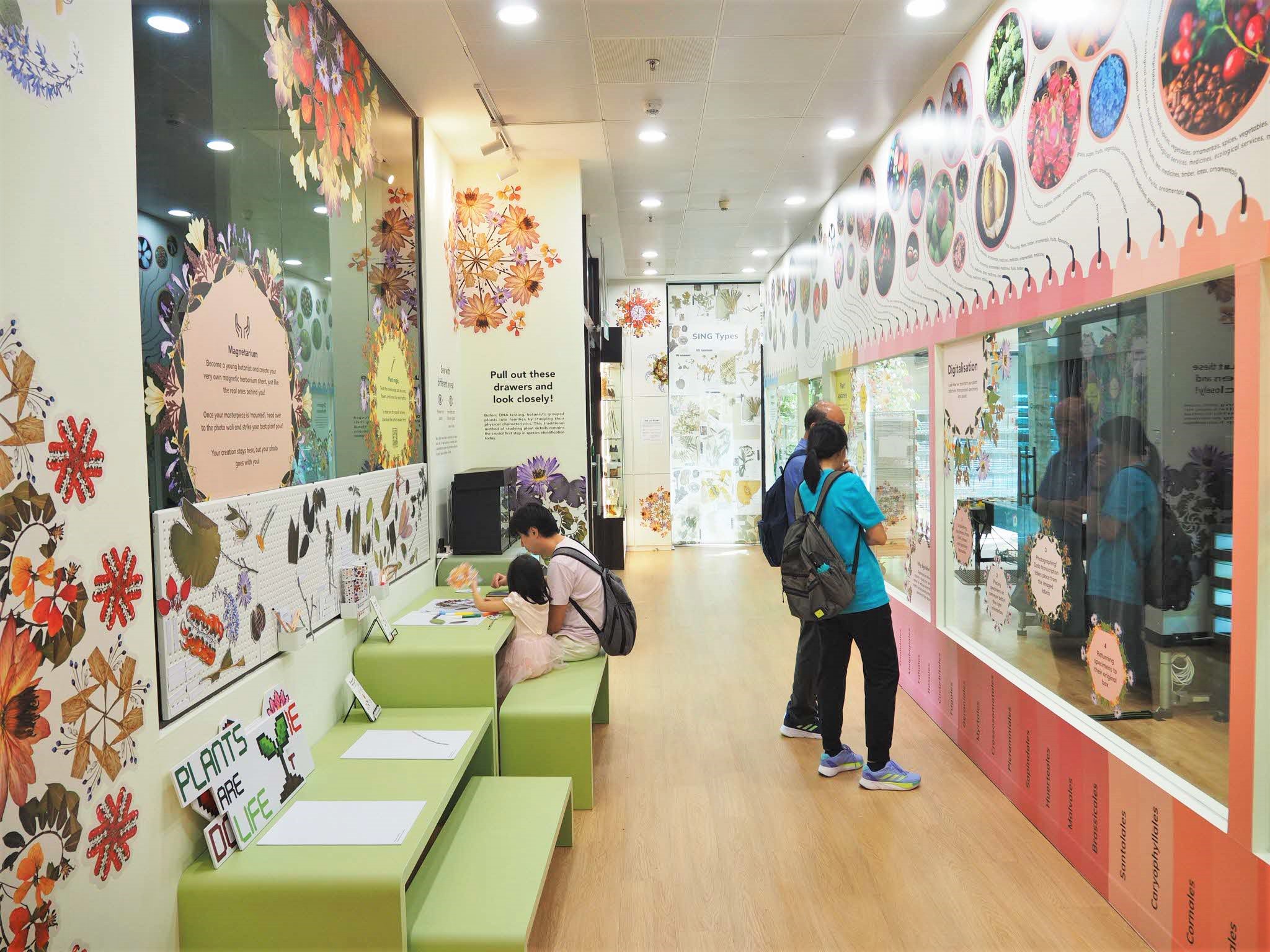 Pressed in Pixels: Digitalising the Singapore Herbarium