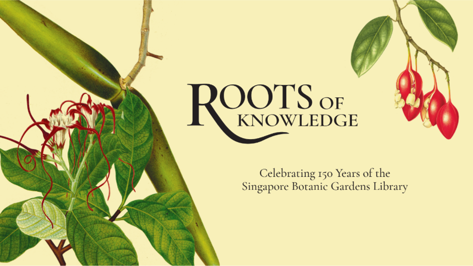 ROOTS OF KNOWLEDGE: CELEBRATING 150 YEARS OF THE SINGAPORE BOTANIC GARDENS LIBRARY