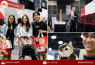 SG's Largest Cat Event at Suntec (Jun 27–28)