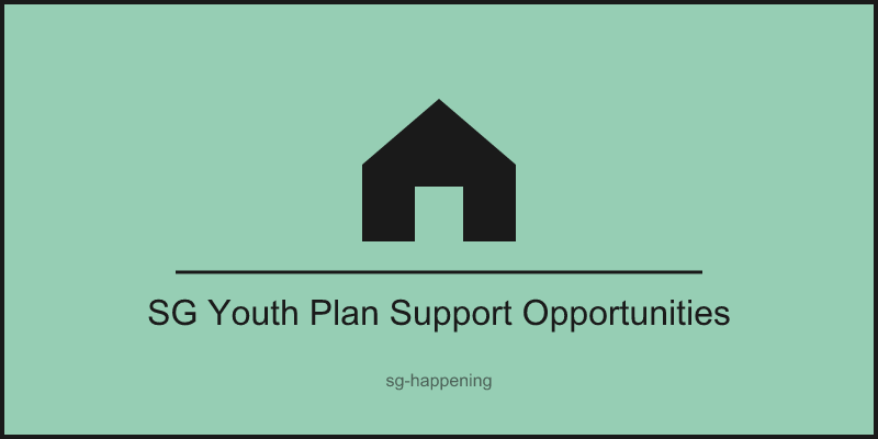 SG Youth Plan Support Opportunities