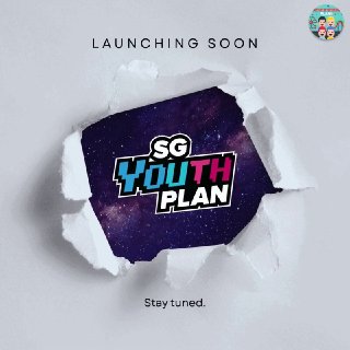 SG Youth Plan Support Opportunities