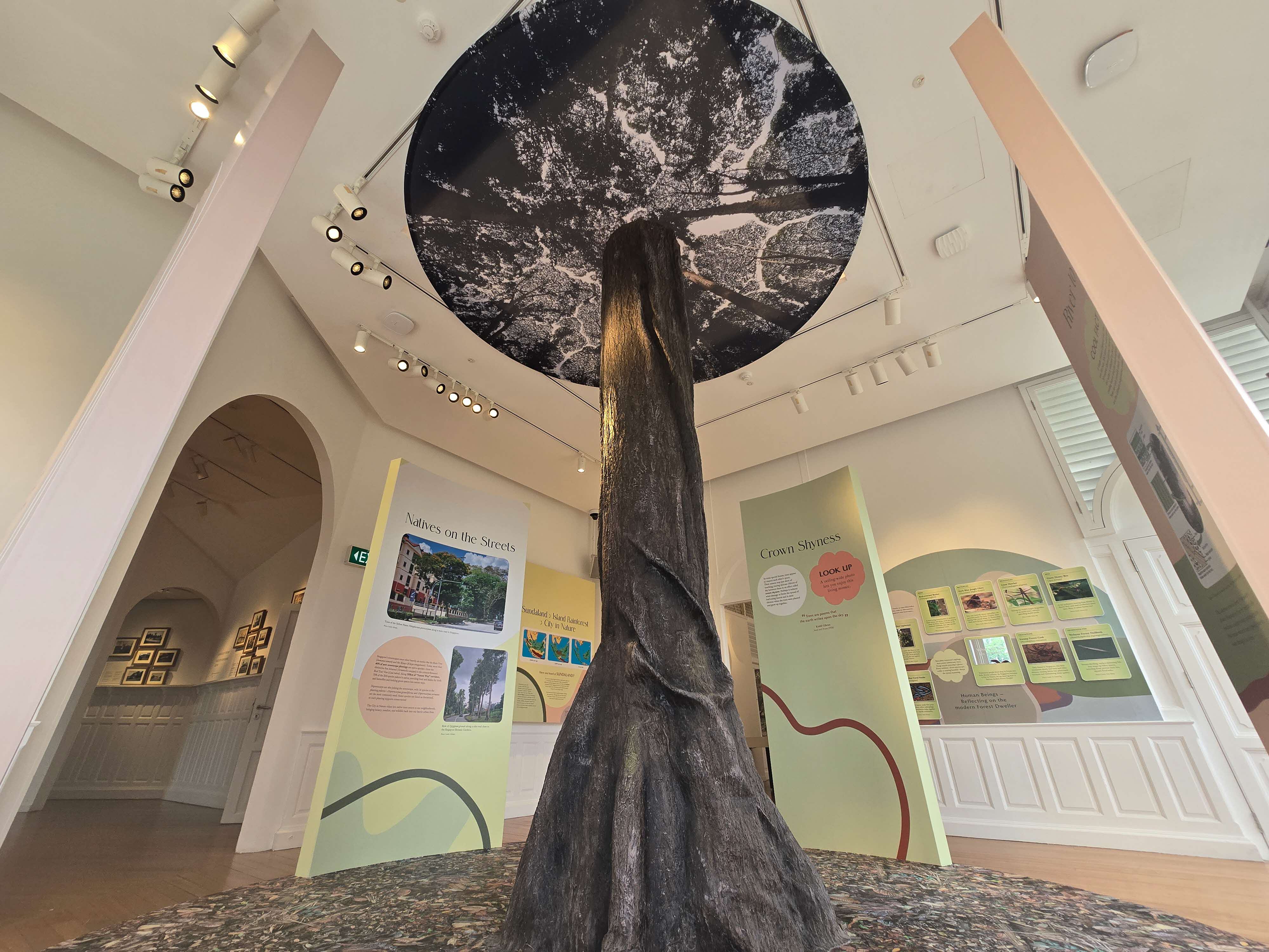 Trees Create Forests @ Forest Discovery Centre