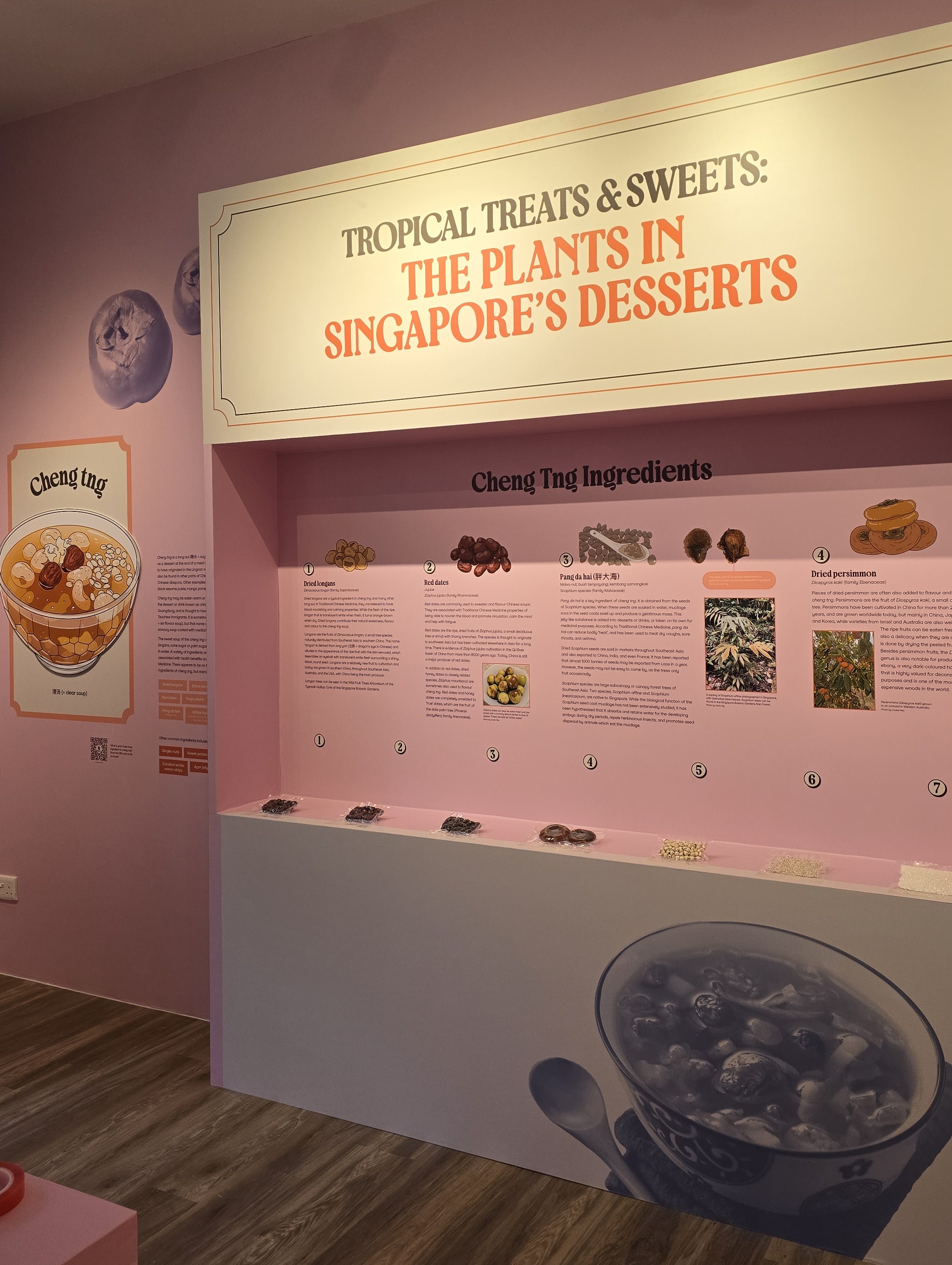 Tropical Treats and Sweets: The Plants in Singapore's Desserts